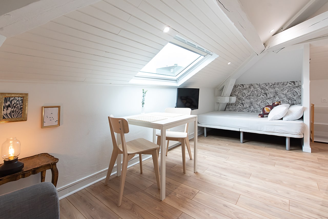 Plan 3D Studio dans les combles 25 m²